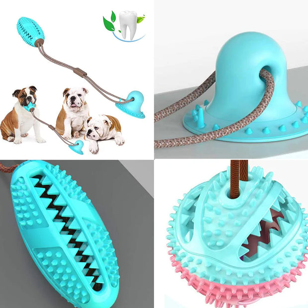 Pet Dog Toys Silicon Suction Cup