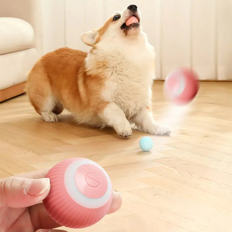 Auto Rolling Dog Ball Toy