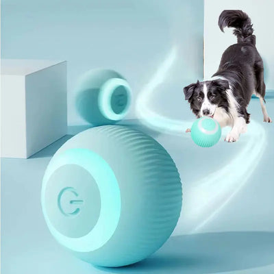 Auto Rolling Dog Ball Toy